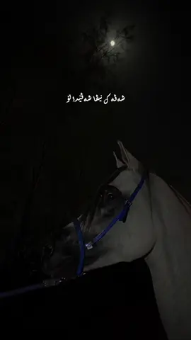 شه ڤه كى نيڤا شه ڤيدا لو#diyardersim #fypシ゚viralシ #foryoupage #fypシ゚viral #foryoupage 
