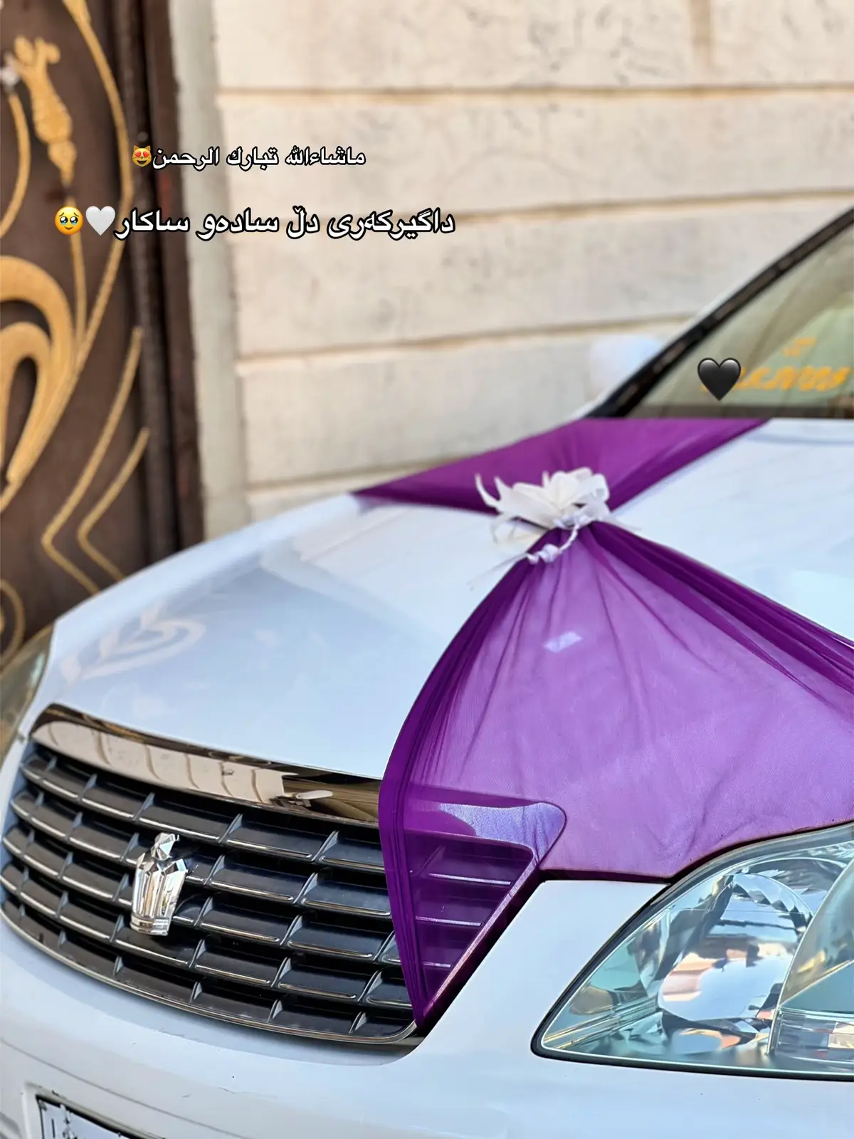 #foryou #fypシ゚ #foryoupage #شاهینەوزەمان🤍✈️ #شاژن🔱 