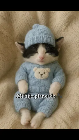 Mi hijo planeado 🐈‍⬛😻😻🐾🐾#michis #gatitos #michisvirales #LIVEwithlowfollowers #PaidPartnership 