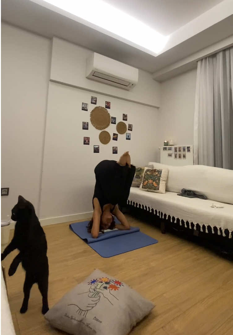 nefessyoga ile özleşmiştikk yepyeni bir deneyimde buluştuk 🫂✨🙃