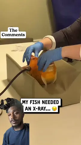 Who knew fish got X-rays?! Lets check these comments out! #comment #fyp #cool #fish 