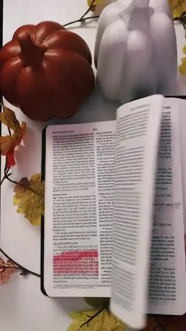 #onthisday one of my favorite verses. God is good all the time!🥰  #Bible #Jesus #Love #thankyoujesus #bibleverse #biblestudy 