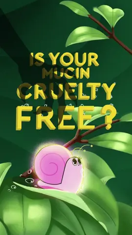 There’s no such thing as cruelty-free snail mucin 🐌💔 Traditional snail mucin is often harvested through harsh methods like poking, spraying with acid or salt mists, or having them crawl over an electrocuted mesh—all to stimulate increased mucin production to levels for commercial use. It’s a process that’s painful and stressful to snails, inhumane, and not aligned with our values. So when we set out to create a deeply hydrating, skin-loving mucin, we knew we had to do it differently 💧✨ Our vegan Prickly Pear Peptide Mucin was formulated without compromise—100% snail-free, cruelty-free, and consciously created to: 🌵 Visibly firm + smooth skin 🫧 Support collagen for a bouncier, more elastic look 🧘‍♀️ Calm, restore + strengthen your moisture barrier No shortcuts, no compromises, just results you (and your conscience) can feel good about 💖 Coming 8/25 on the @sephora app and 8/26 on glowrecipe.com #GlowRecipe #CrueltyFree #PeptideMucin 