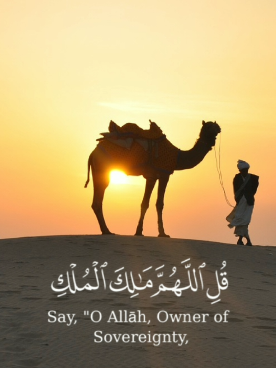 #قران_كريم #ماهرالمعيقلي #تلاوات #سورة_آل_عمران 