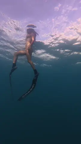 A dive in sosua looks like this 🌊.           💙#dominicanrepublic #sosua #freediving 
