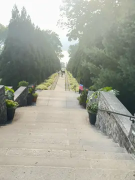 #nature