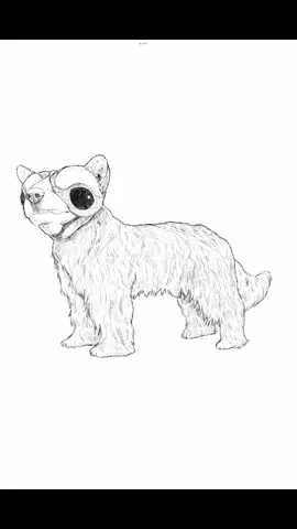 My first Random Animal Generator drawing, thank you @Tuimiz it’s a lot of fun! #randomanimalgenerator #hybrid #drawing #randomdrawing 