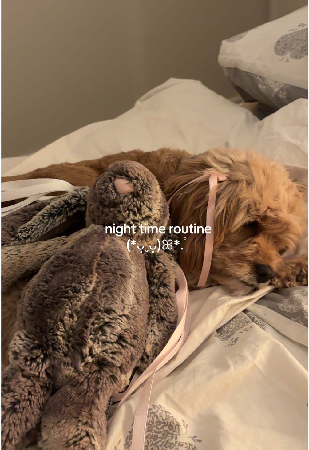 Night time routine (*ᴗ͈ˬᴗ͈)ꕤ.                #xyzabc #SelfCare #nighttimeroutine #skincare 