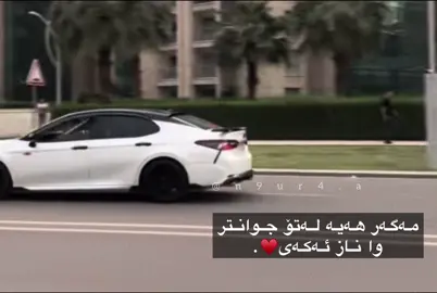 ♥️🕊️.#camry #viral #foryoupage #fyp #foryou 