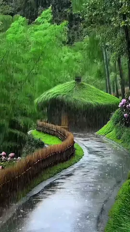 🌸 A beleza de um amor verdadeiro é como a criação: simples e infinita. #cenas #natureza #musicalinda #chuva #bonito 