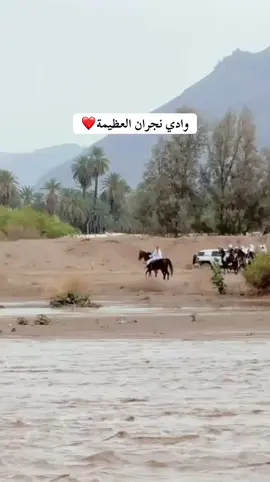 #نجران_السعوديه #نجران911 #نجران 