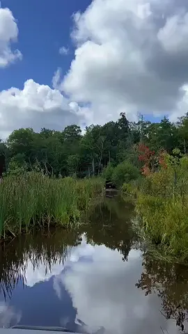 #peaceful #calm #jeep #scenery 