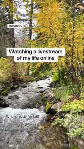 #iamnurseshark007 ##lifestyleinfluencer #falliscoming🍁🍂  ⸻ When autumn arrives, the world slows down just enough to notice the beauty in small things. The air turns crisp, carrying the faint scent of woodsmoke and fallen leaves, while the trees set themselves ablaze in gold, amber, and crimson. It feels as if nature has saved its grandest performance for this moment—the finale before winter, when everything glows with quiet magic. It’s the time of year when mornings call for sweaters and steaming mugs, when afternoons are meant for long walks under canopies of color, and evenings invite us to draw closer, to share laughter and warmth beneath blankets. Autumn holds a gentleness that no other season gives—a reminder that change can be breathtaking, that endings can be just as beautiful as beginnings. And in the hush of it all, with leaves falling like slow confetti and the sun sinking a little earlier each day, life feels more tender, more intentional, more full of love. That’s why autumn will always feel like the heart’s true season—the one that shows us how to let go, how to cherish the present, and how to fall in love with life all over again