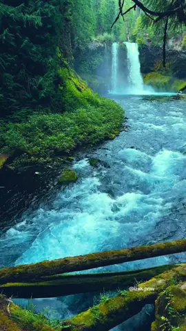 Peaceful moments by a majestic waterfall, cascading into crystal-blue waters surrounded by Oregon’s lush green forest. #pacificnorthwest #waterfalls #pnw #beautifuldestinations #pnwexplored 