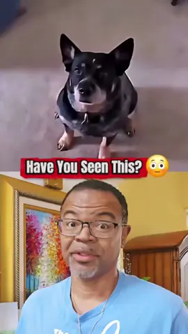 Man's Best Friend Teaches Us A Lesson About Prayer #prayer #jesus #dog #dogsoftiktok #dogs 