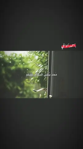 انا لان اذا ماعندي شي محد يكلي سلام عليكم 💔❤️#الشيخ_احمد_الوائلي #الشيخ_علي_المياحي #قران #عبدالرحمن_مسعد #اكسبلور_explore 