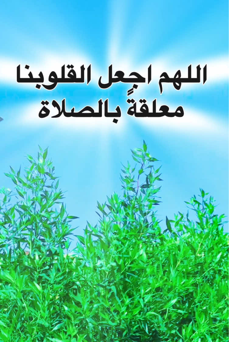 اللهم  اجعل القرآن العظيم ربيع قلوبنا #دعاء #القران_الكريم_راحه_نفسية😍🕋 #الصلاة #quran_sks #fyp 