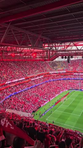 🦅🦅🦅#futebol #benficaatemorrer #benfica #viral #foryou 