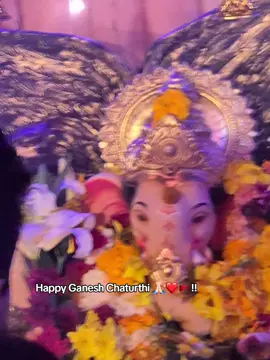 Wishing you a pious Ganesh Chaturthi🕉❤️🚩. #mauritius🇲🇺 #fypシ゚ #ganesha #ganeshchaturthi #22🕉 