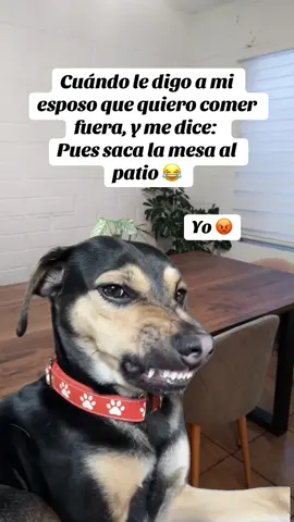 #MemeCut #MemeCut #Meme #MemeCut #paratiiiiiiiiiiiiiiiiiiiiiiiiiiiiiii 