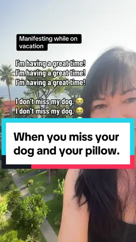 Only the top manifestations are working.  I miss Chuckie and my nice soft pillow. 🤣 #dogmom 
