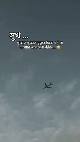 সুখ.. খুজতে খুজতে মৃত্যুর দিকে চলে যাওয়ার নাম হলো জীবন..!😅