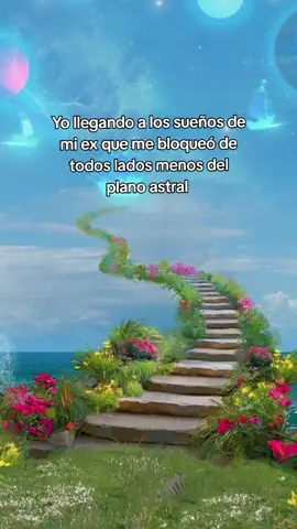 En tus sueños o pesadillas ✨🤷‍♀️ #risa #parati #feed #lasperdidas #karinatorres 