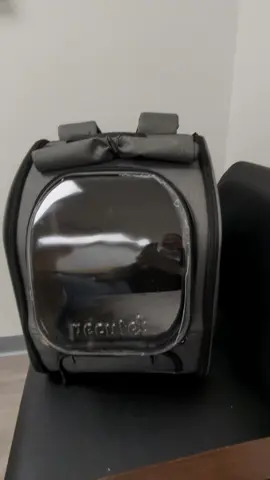 Pet backpack carrier with a clear bubble and privacy flap #pecute #catcarrier #pet #carrier #petbackpack 