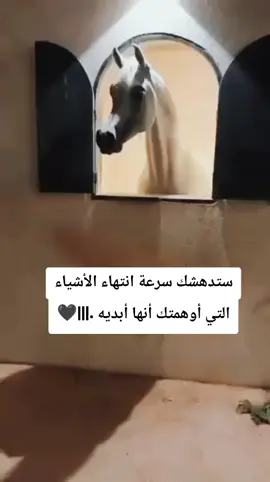 #اقتباسات #violin #vid #videoviral 