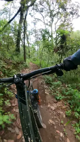 PARTIRME LA MADRE ES MI PASIÓN 🤣🤣🤣🤣🤣 #mtb #enduro #tapalpa #bosque #caida  