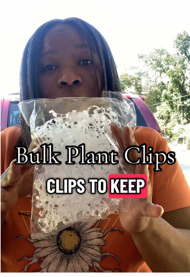 If you verticle garden you’ll need these #plantclips #verticlegardening #houseplants #gardentok #trellisgarden @yingtianUS 