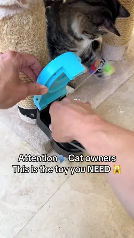 One toy. Endless play. Zero boredom. 🐾 The forever favorite your cat won’t outgrow. #tiktokshop #catfunny #PetsOfTikTok #catenrichment #fypシ   