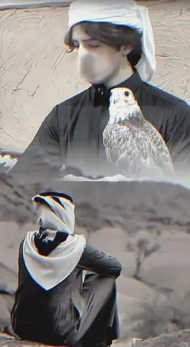 كيف بشرح لك كلامي والجمل #مصمم_فيديوهات🎬🎵 #قصائد_واشعار #viral #foryou #tiktokindia 