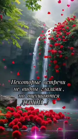 #selentmagis#mysticalwildlife #fantasyforest 