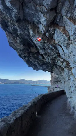 #raialgerien #foryou #fypシ #bejaia 