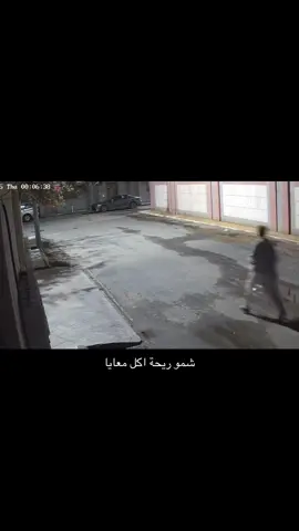 شافو قدر الاكل معايا طبو علي ههههههههههههههههههههههه #الصين_ماله_حل 