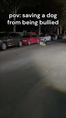 Saving puppy from dog attack #heartwarming #animals #animalrescue 
