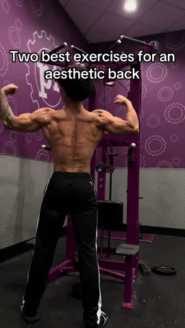 My go to for back aesthetics #gym #Fitness #fyp #aesthetic 