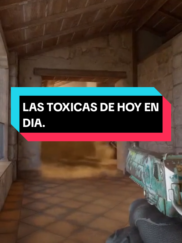 el sueño de la Toxica  #clips #twitchstreamer #elkolyytwitch  #cs 