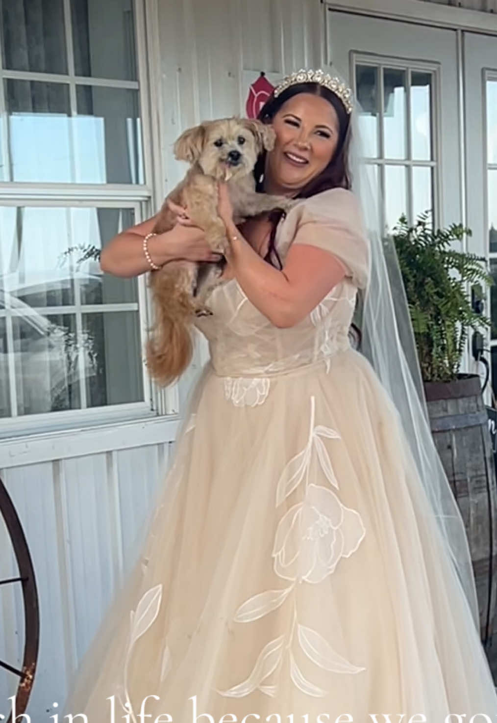 Forever grateful to help couples include their dogs in their weddings because of moments like this 💚   #dog #dogs #dogsoftiktok #wedding #fyp 