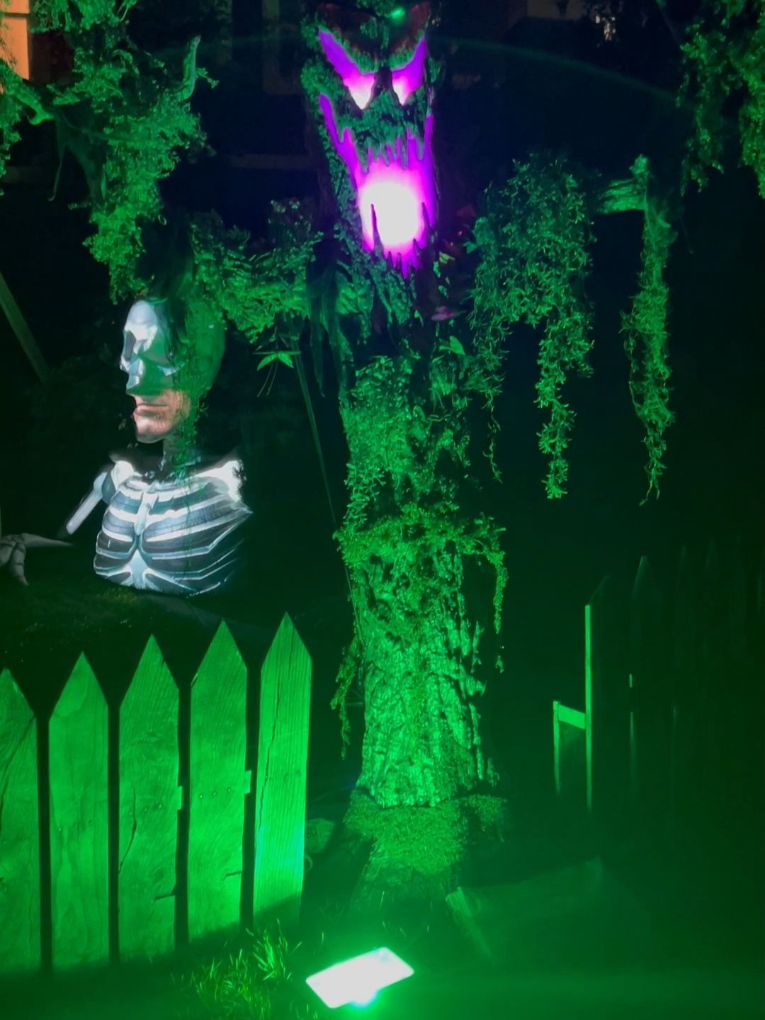 🌳👻 Double the terror, double the glow! We set up two 9 ft. Murderous Maples from Home Depot’s Gruesome Grounds collection—one blazing red 🔴 and one glowing green 🟢. With flickering lights, creepy moss, and our haunted fence leading to the projection wall, they frame the yard like a sinister gateway to Halloween night 🎃💀✨ #HalloweenDecor #HomeDepotHalloween #SpookyTree #HauntedYard #MurderousMaple