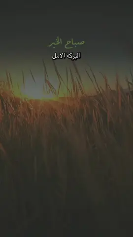 #صباح_الخير 