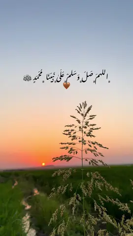 #صلي_علي_النبي #صلي_الله_عليه_وسلم 🤎🤲🏼