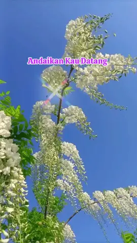 #AndaikanKauDATANG