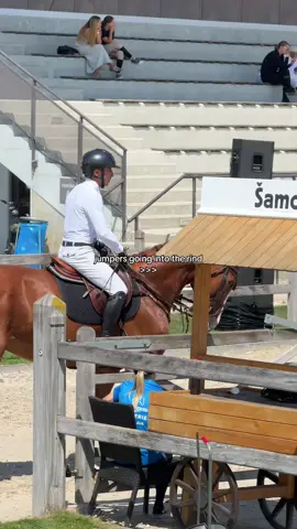 Every great round begins here. The right horse makes all the difference. 📞 WhatsApp: +40 793 228 482 📸 IG: @equi_team_for_sale