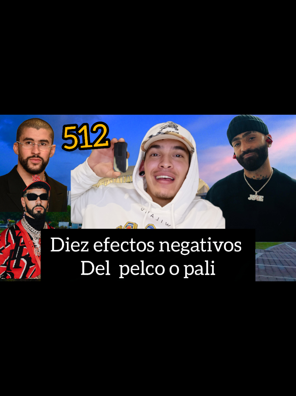 Diez efectos negativos de las pali  #contenidoeducativo #puertorico #badbunny #considerelo #daños 