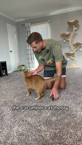 the forbidden cucumber 