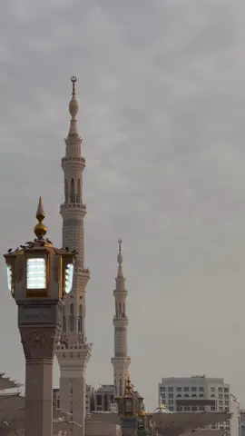 ‏اللهُّم عطاءً يجبر الخاطر ويُقِرّ العين 🌱#اكسبلور #اذكروا_الله #الذكر_الحكيم #الدعاء #القران_الكريم_راحه_نفسية😍🕋 