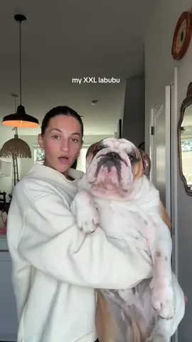 my labubu weighs more than your labubu #24kgoldlabubu #bulldog #englishbulldog 
