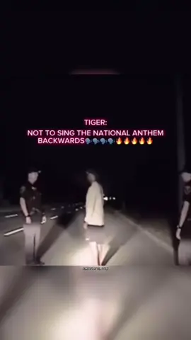 On this day last year, I made my all time favorite edit. Enjoy #golf #tigerwoods #TheMasters #RyderCup